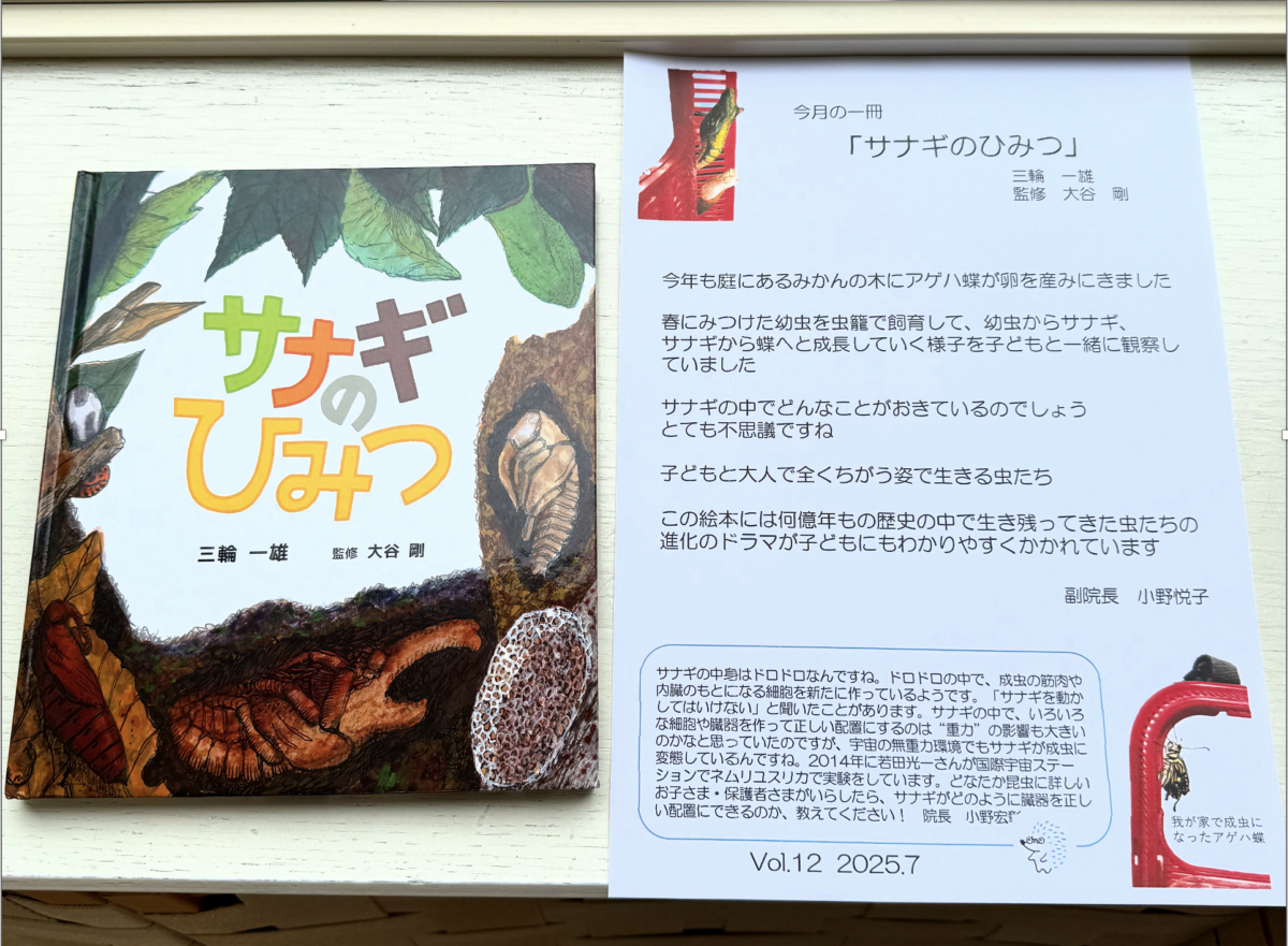 今月の一冊「サナギのひみつ」